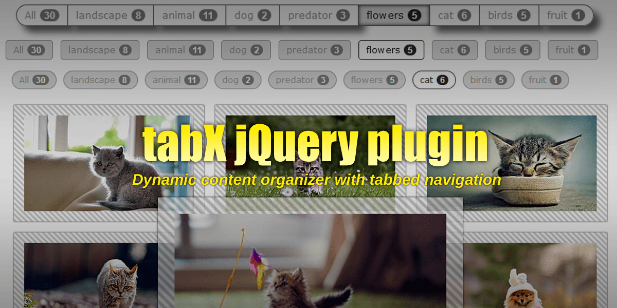 tabX Content Organizer